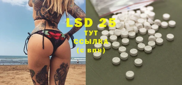 стафф Аркадак