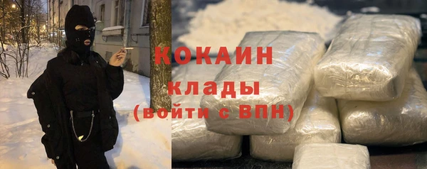 стафф Аркадак