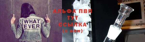 шишки Арсеньев