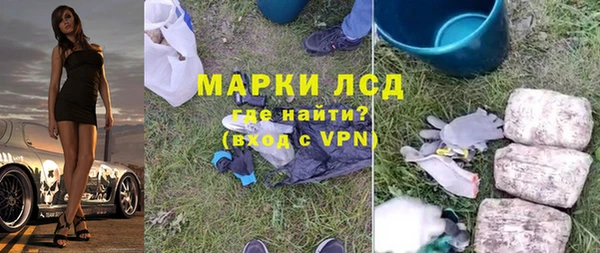 шишки Арсеньев