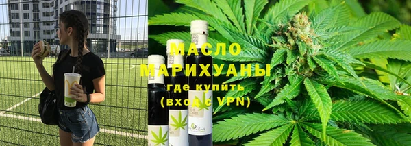 шишки Арсеньев