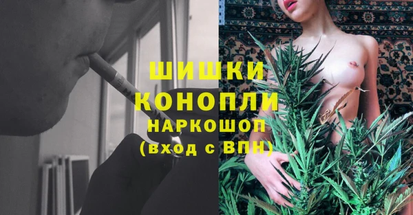 стафф Аркадак