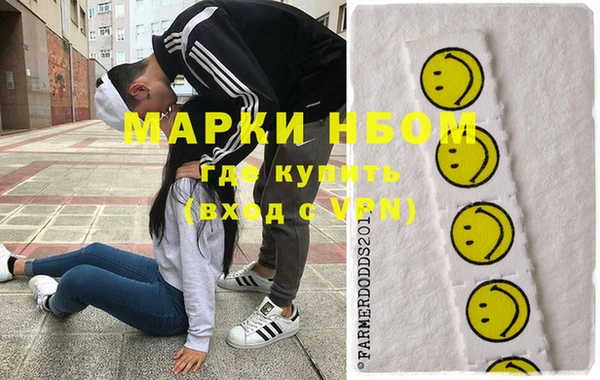 шишки Арсеньев
