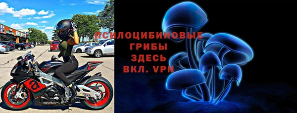 шишки Арсеньев