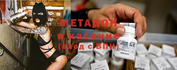 шишки Арсеньев