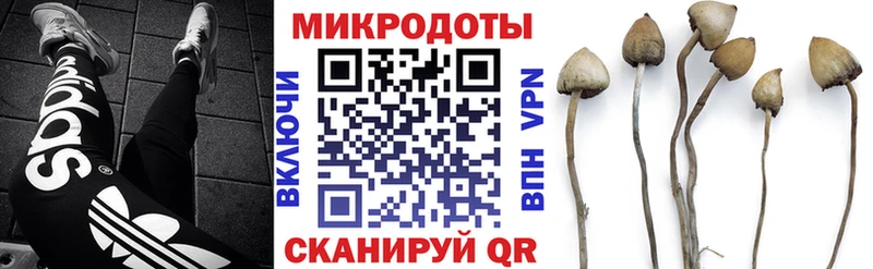 KRAKEN зеркало  Ноябрьск  Псилоцибиновые грибы Psilocybe  хочу  